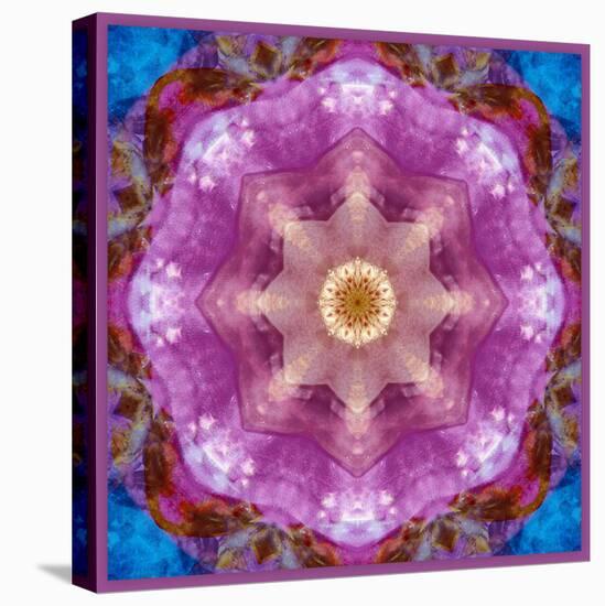 Symmetric Layer Work from Flowers Photographs-Alaya Gadeh-Premier Image Canvas