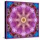 Symmetric Layer Work from Flowers Photographs-Alaya Gadeh-Premier Image Canvas