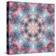 Symmetric Ornament from Flower Photographs-Alaya Gadeh-Premier Image Canvas