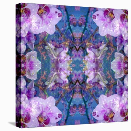 Symmetric Ornament from Flowers and Water Reflections-Alaya Gadeh-Premier Image Canvas