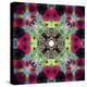 Symmetric Ornament from Flowers, Conceptual Photographic Layer Work-Alaya Gadeh-Premier Image Canvas