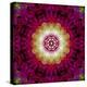 Symmetrical Ornament of Flower Photos-Alaya Gadeh-Premier Image Canvas