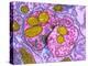 Synapse Nerve Junction, TEM-Thomas Deerinck-Premier Image Canvas