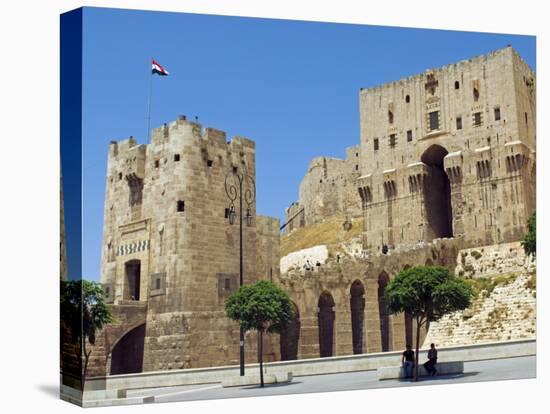 Syria, Aleppo; Entrance to the Citadel-Nick Laing-Premier Image Canvas