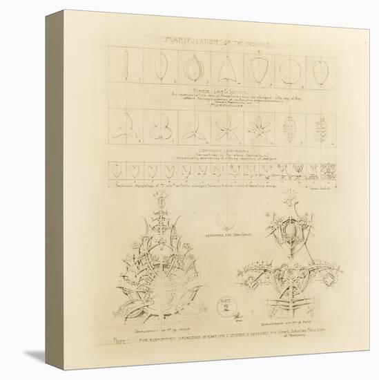 System of Architectural Ornament: Plate 2, Manipulation of the Organic, 1922-23-Louis Sullivan-Premier Image Canvas