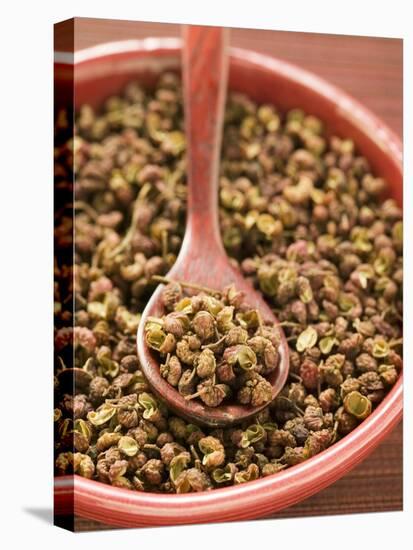 Szechuan Pepper in Bowl with Spoon-null-Premier Image Canvas