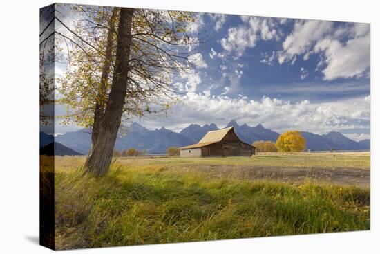 T.A. Moulton Barn, Mormon Row, Grand Teton National Park, Wyoming, USA-Maresa Pryor-Premier Image Canvas