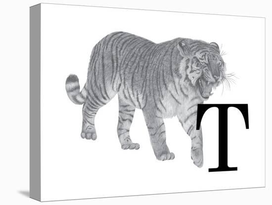 T is for Tiger-Stacy Hsu-Stretched Canvas