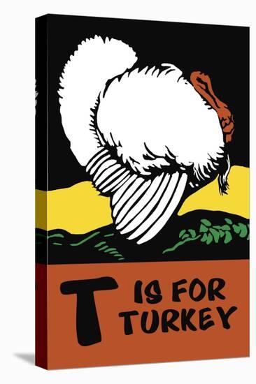 T is for Turkey-Charles Buckles Falls-Stretched Canvas