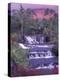 Tabacon Hot Springs, Arenal Volcano, Costa Rica-Nik Wheeler-Premier Image Canvas