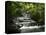 Tabacon Hot Springs, Volcanic Hot Springs Fed from the Arenal Volcano, Arenal, Costa Rica-Robert Harding-Premier Image Canvas