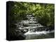 Tabacon Hot Springs, Volcanic Hot Springs Fed from the Arenal Volcano, Arenal, Costa Rica-Robert Harding-Premier Image Canvas