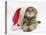Tabby Cat Wearing a Father Christmas Hat-Jane Burton-Premier Image Canvas