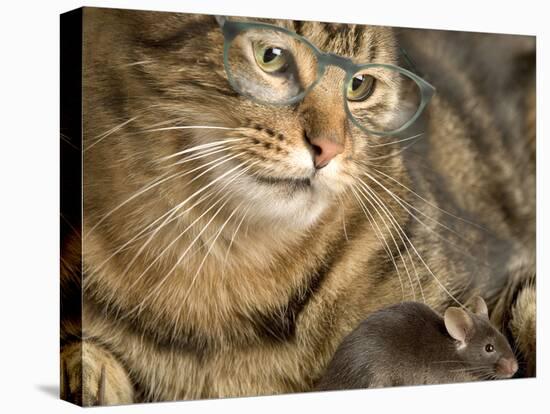 Tabby Cat Wearing Glasses Watches Mouse-null-Premier Image Canvas