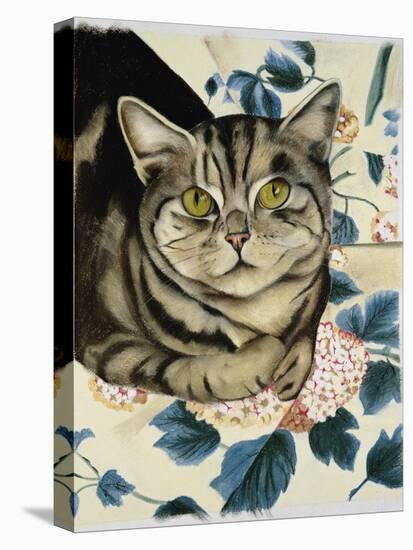 Tabby Cat-Anne Robinson-Premier Image Canvas