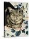 Tabby Cat-Anne Robinson-Premier Image Canvas