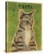 Tabby (grey)-John Golden-Stretched Canvas