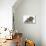 Tabby Kitten, Fosset, 8 Weeks Old, with Fluffy Black-And-Grey Daxie-Doodle Pup, Pebbles-Mark Taylor-Premier Image Canvas displayed on a wall