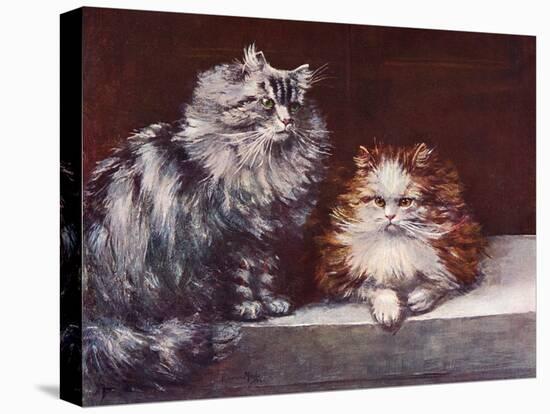 Tabby, Orange Persians-null-Stretched Canvas