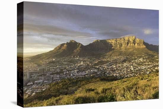 Table Mountain at dawn, Cape Town, Western Cape, South Africa, Africa-Ian Trower-Premier Image Canvas