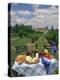 Table Set with a Picnic Lunch in a Vineyard in Aquitaine, France, Europe-Michael Busselle-Premier Image Canvas