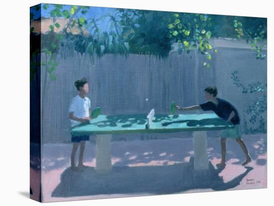 Table Tennis, France, 1996-Andrew Macara-Premier Image Canvas