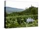 Table with Champagne Glasses in Vineyard in Champagne-Joerg Lehmann-Premier Image Canvas