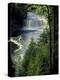 Tahquamenon Falls, Tahquamenon Falls State Park, Michigan, USA-Claudia Adams-Premier Image Canvas