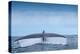 Tail fluke of Blue whale  diving, Atlantic Ocean-Franco Banfi-Premier Image Canvas