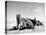 Tail Section of a Damaged P 38 Fighter Plane in the Desert During Allied North Africa Campaign WWII-Margaret Bourke-White-Premier Image Canvas