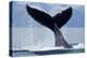 Tail Slapping Humpback Whale, Alaska-Paul Souders-Premier Image Canvas
