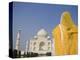 Taj Mahal, Agra, Uttar Pradesh, India-Doug Pearson-Premier Image Canvas