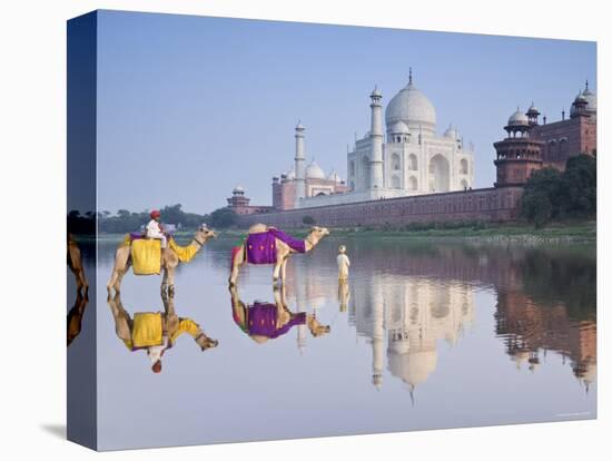 Taj Mahal, Agra, Uttar Pradesh, India-Doug Pearson-Premier Image Canvas