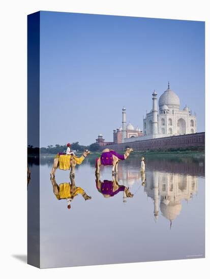 Taj Mahal, Agra, Uttar Pradesh, India-Doug Pearson-Premier Image Canvas