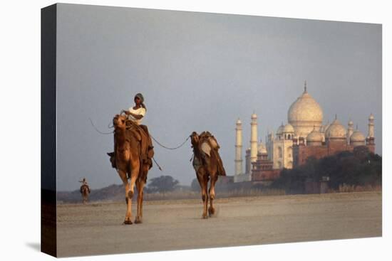 Taj Mahal Camels-Charles Bowman-Premier Image Canvas