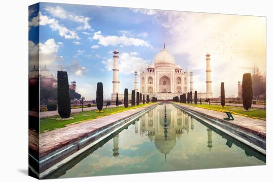 Taj Mahal in India-Marina Pissarova-Premier Image Canvas