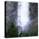 Takakkaw Falls Swollen by Summer Snowmelt, British Columbia (B.C.), Canada-Ruth Tomlinson-Premier Image Canvas