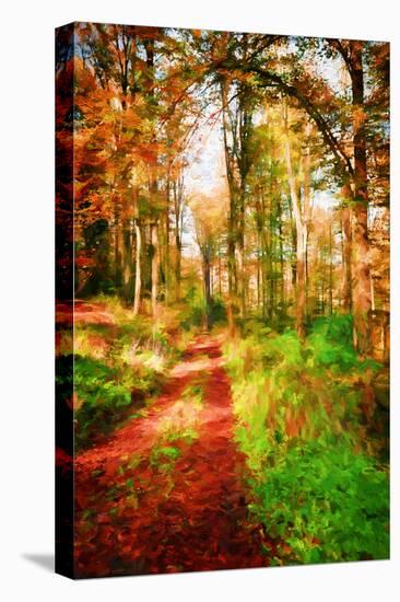Take a Path in Autumn-Philippe Sainte-Laudy-Premier Image Canvas