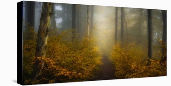 Take me for a Walk-Norbert Maier-Premier Image Canvas