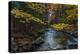 Take Me To The River, Autumn Maine Acadia National Park-Vincent James-Premier Image Canvas