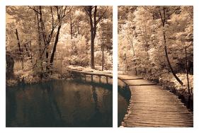 Take My Lead I-Ily Szilagyi-Stretched Canvas