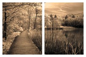 Take My Lead II-Ily Szilagyi-Stretched Canvas