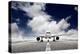 Takeoff Plane in Airport-Policas-Premier Image Canvas