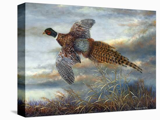 Taking Flight-Carolyn Mock-Stretched Canvas