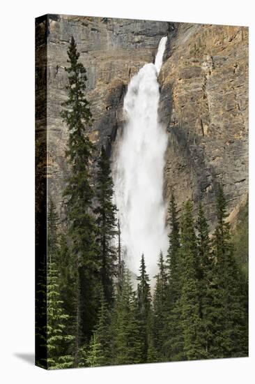 Takkakaw Falls, Yoho National Park, British Columbia, Canada-Michel Hersen-Premier Image Canvas