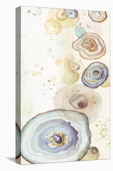 Tall Agates Flying Watercolor-Patricia Pinto-Stretched Canvas