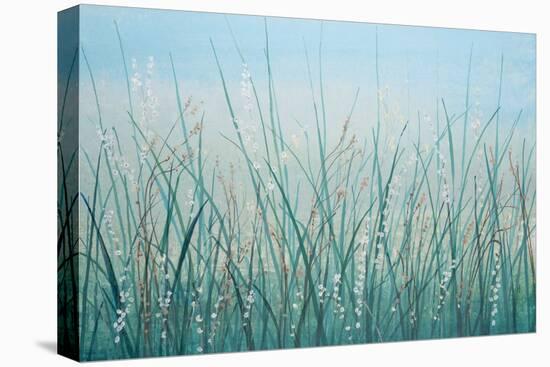 Tall Grass I-Tim OToole-Stretched Canvas