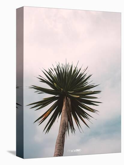 Tall Palm-PhotoINC Studio-Stretched Canvas