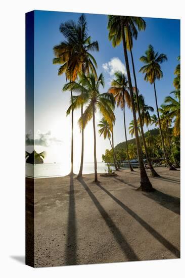 Tall palms and long shadows on the small beach at Marigot Bay, St. Lucia, Windward Islands, West In-Martin Child-Premier Image Canvas