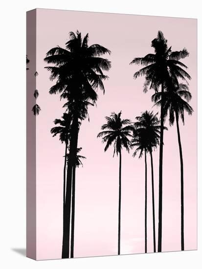 Tall Palms Black on Pink II-Mia Jensen-Stretched Canvas